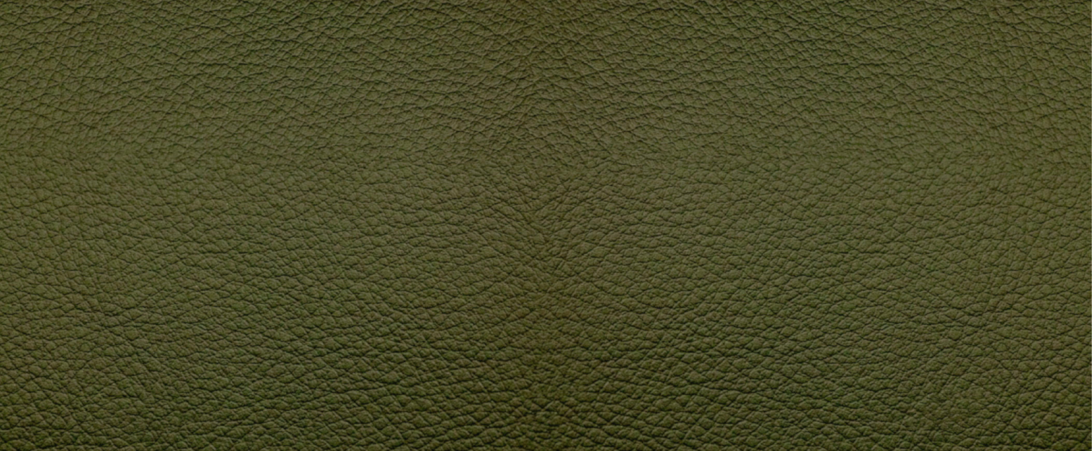 Leather for Homepage