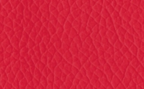 Charisma Vinyl Chili