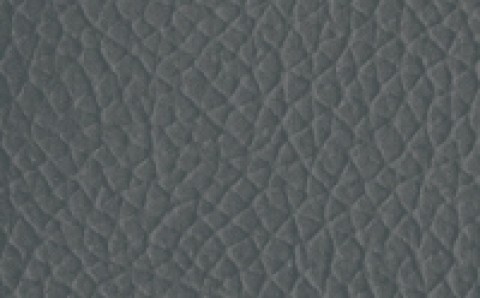 Charisma Vinyl Gunmetal