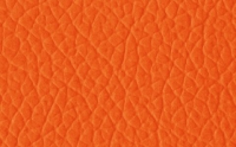 Charisma Vinyl Orange