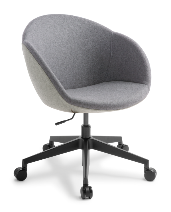 Amelia5 star Swivel Black Synergy Serendipityand Blazersalford