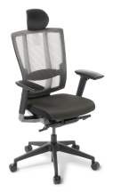 Cloud Ergo_Arms_Headrest