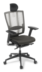 Cloud Ergo_Arms_Headrest