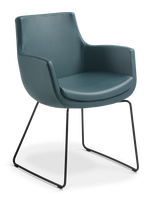 Ferne_Sled_Black_Charisma Cobalt