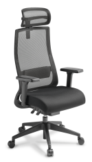 Joe_Arms_Headrest