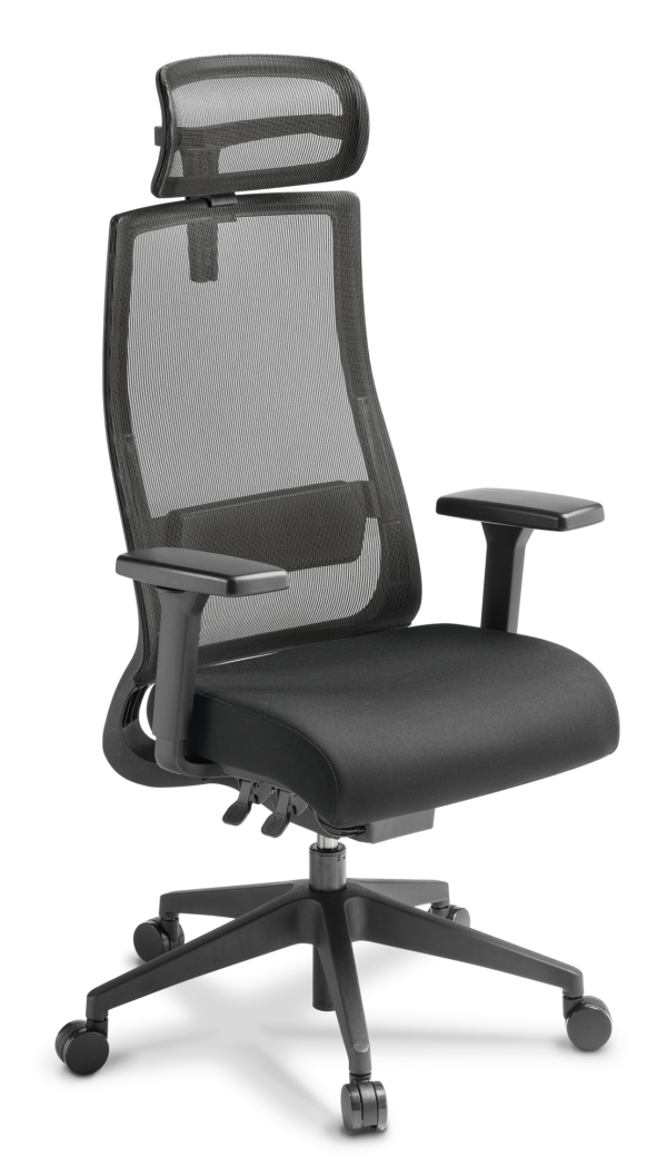 Joe with Arms and Headrest