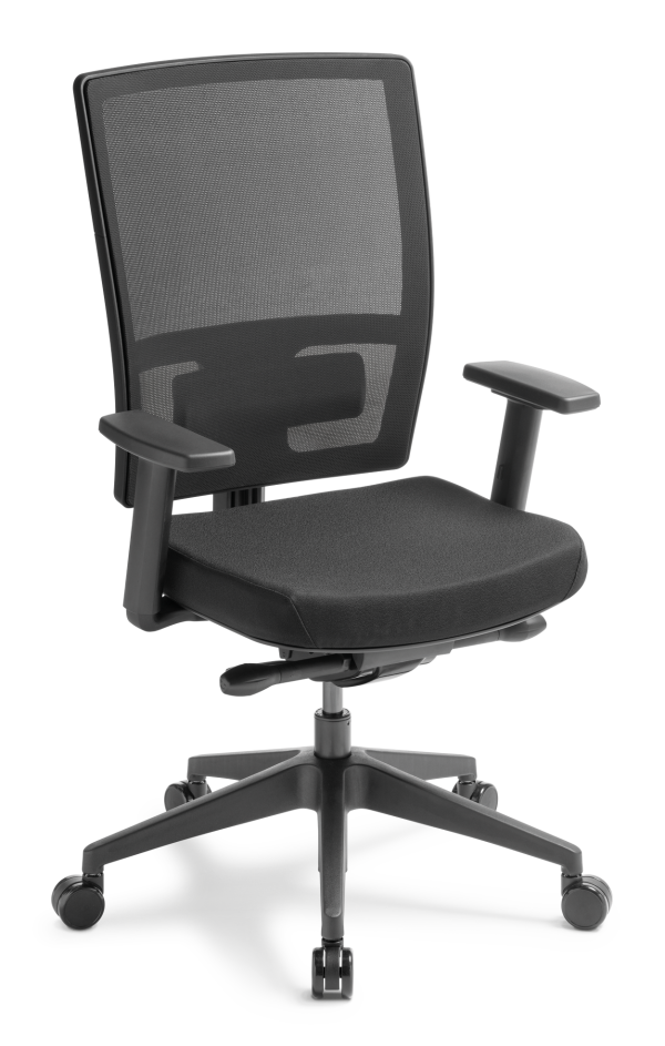 Media Ergo Arms Lumbar Support