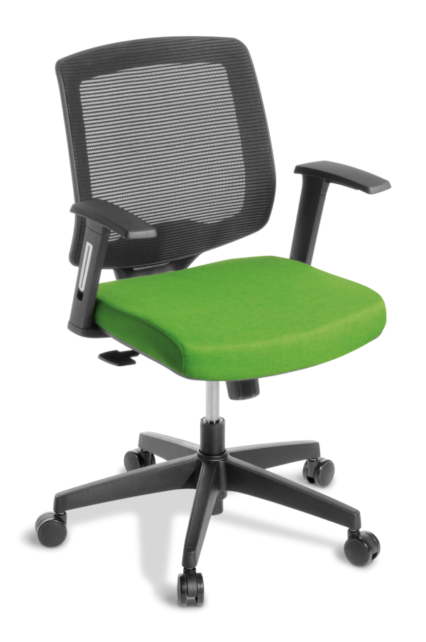 Media Meeting Bond Leaf