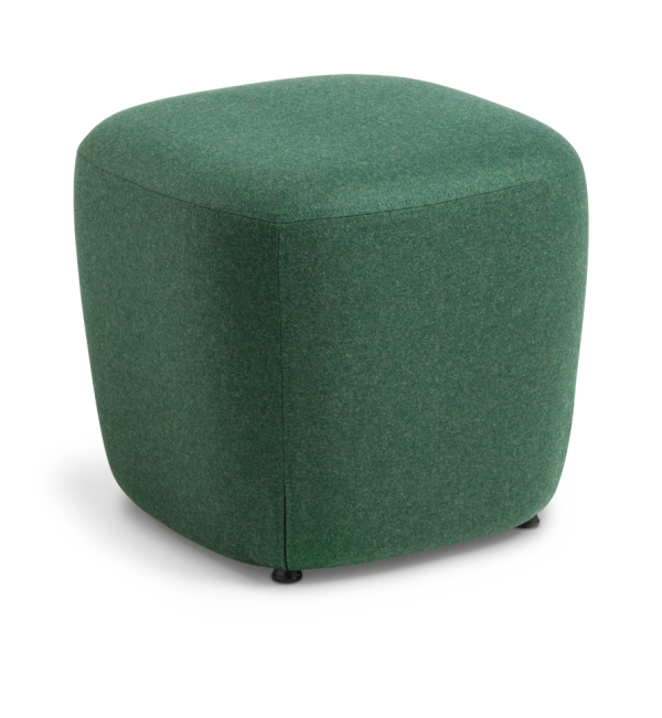 Quad Octavius Evergreen